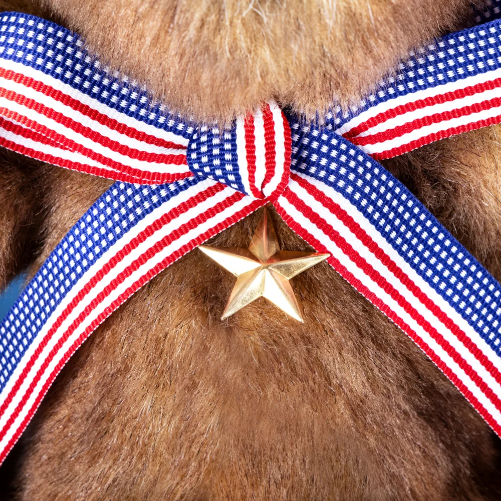 13 In. Limited Edition All-American Teddy Bear™ - Image 3